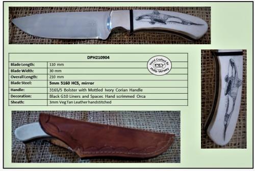 Drop Point Hunting Knife with Orca Scrimshaw